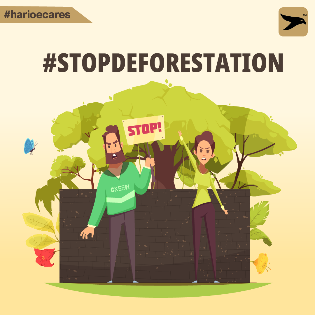 Plant Trees With Every Order | HARIOE Prevents Deforestation